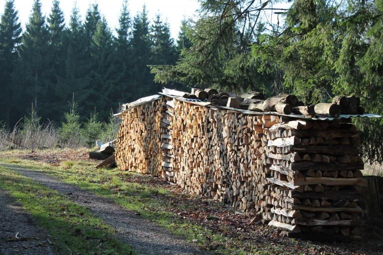 Holzstapel Brennholz in freier Natur Wald