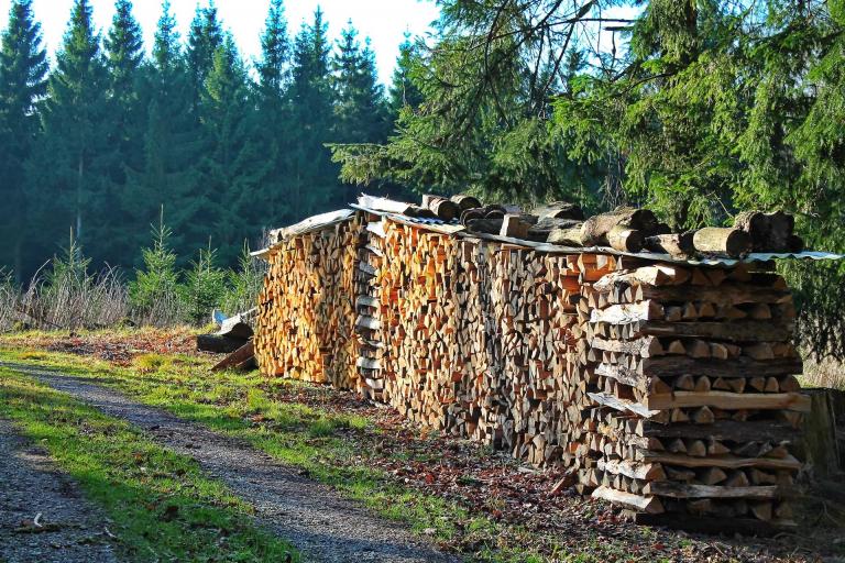 Zu sehen ist eine Holzstapel Brennholz im Wald